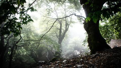 Athamanika mountain range, aka Tzoumerka